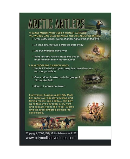 Arctic Antlers - Image 2