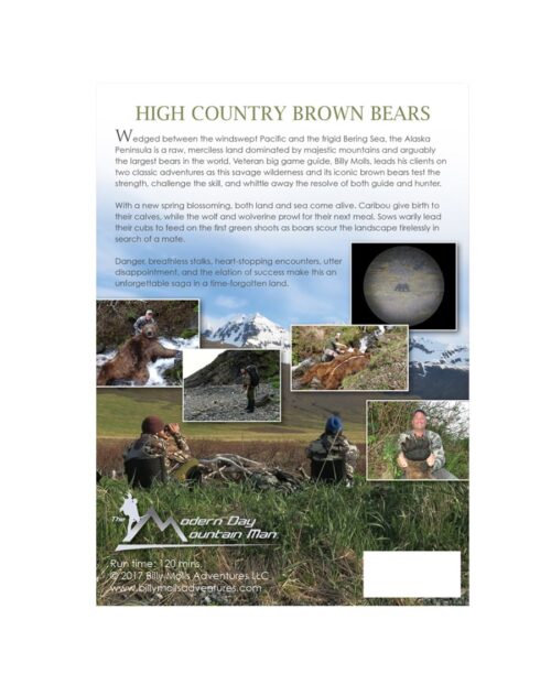 High Country Brown Bears - Image 2