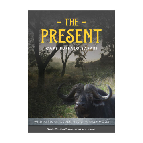 The Present