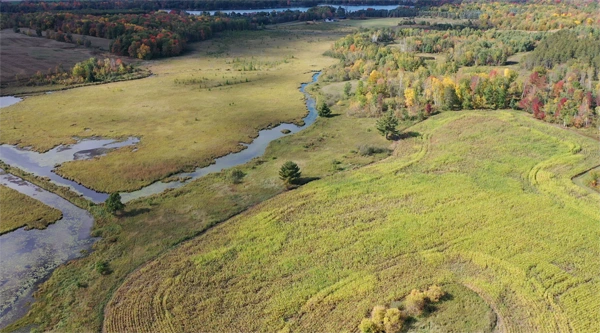 Lightning Creek green grass